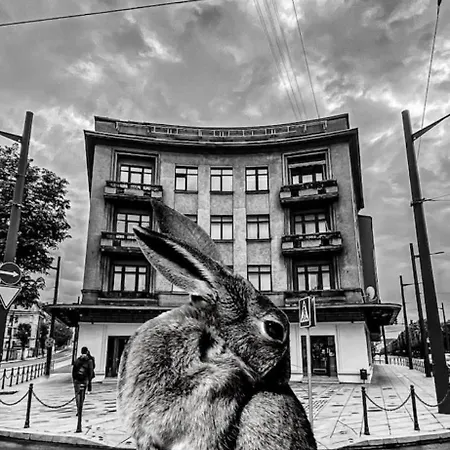 Apartment Liberty Avenue - Laisves Aleja Kaunas